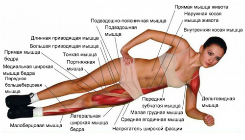 Как правильно делать планку?