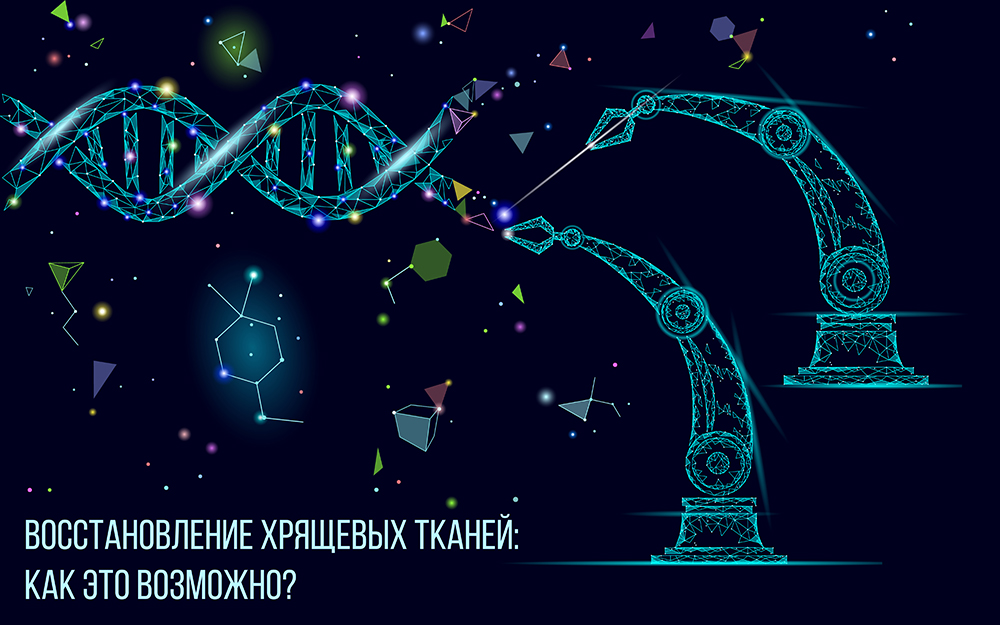 Восстановление хрящевых тканей: как это возможно? Восстановление хрящевых тканей: как это возможно?
